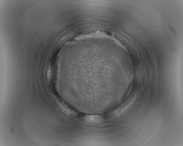 X0000112060137200908181206