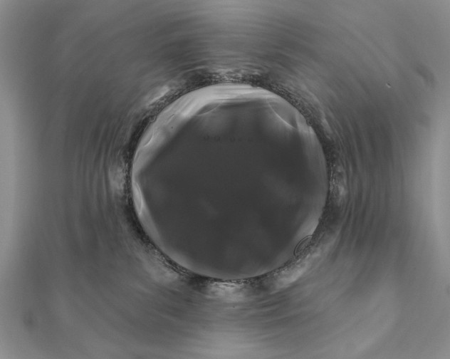 X0000112060139200908181206