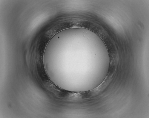 X0000112060140200908181206