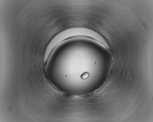 X0000112060141200908181206