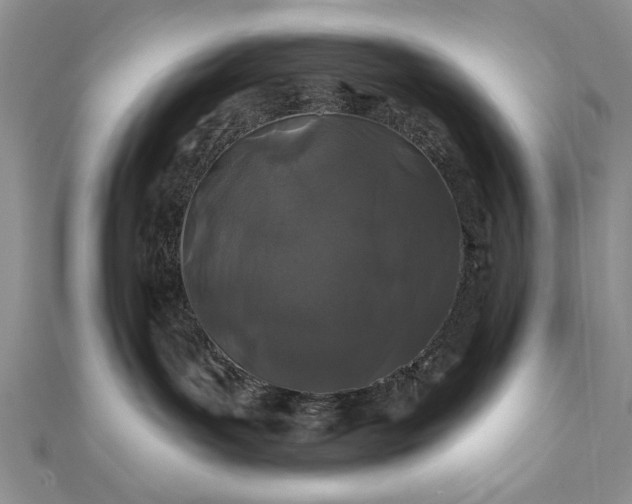 X0000112060143200908181206