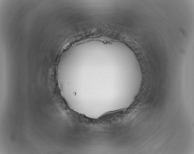 X0000112060144200908181206