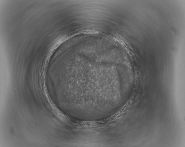 X0000112060145200908181205