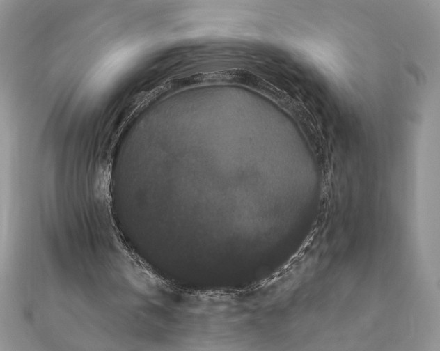 X0000112060146200908181205