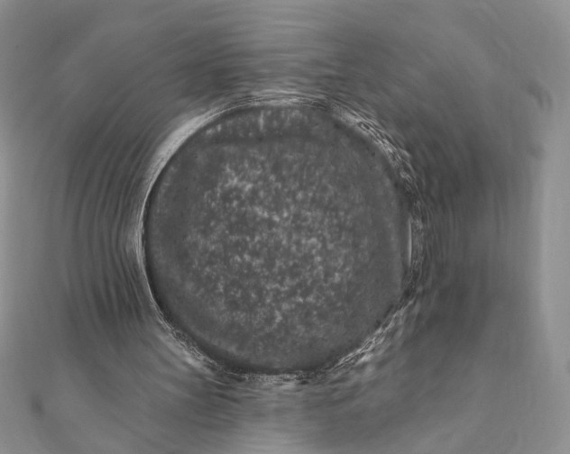 X0000112060147200908181205