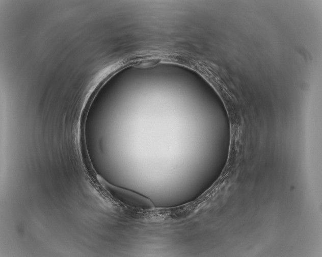 X0000112060148200908181205