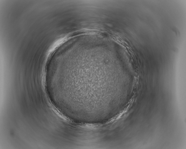 X0000112060149200908181205