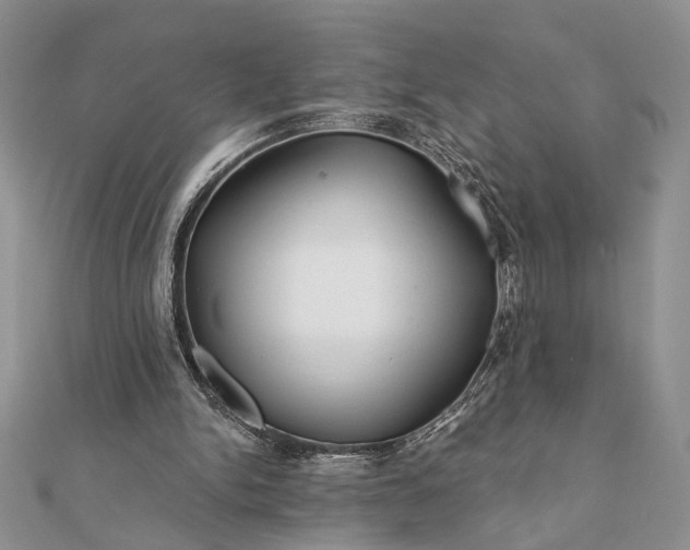 X0000112060150200908181205