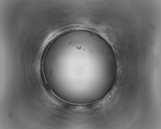 X0000112060151200908181205