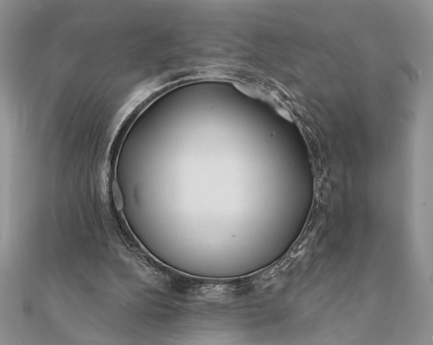 X0000112060152200908181205