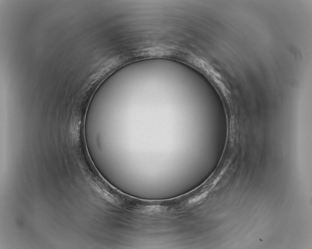 X0000112060153200908181205