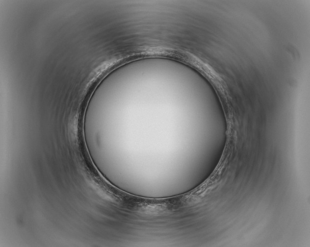 X0000112060155200908181206