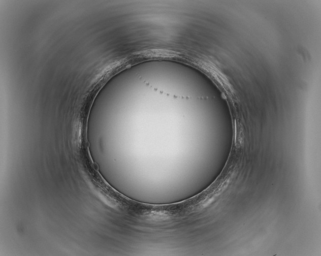 X0000112060157200908181206