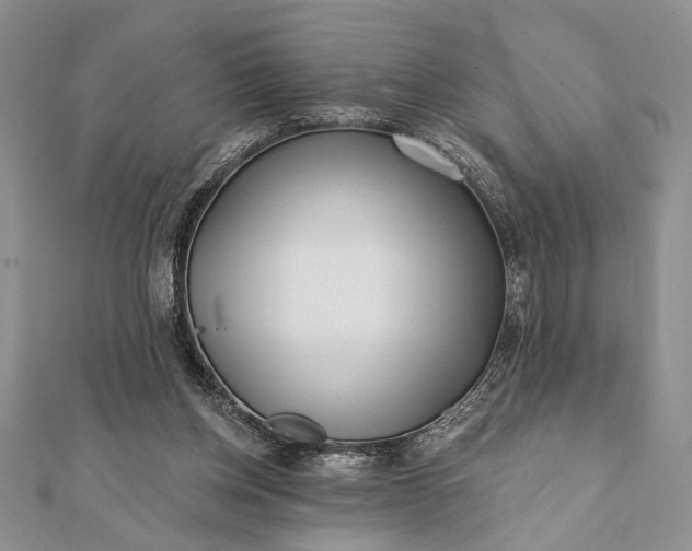 X0000112060158200908181206