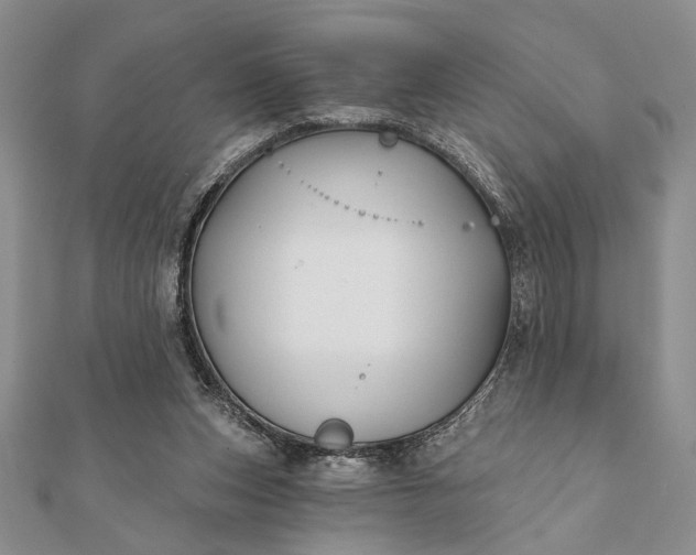 X0000112060159200908181206