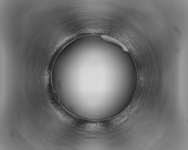 X0000112060160200908181206