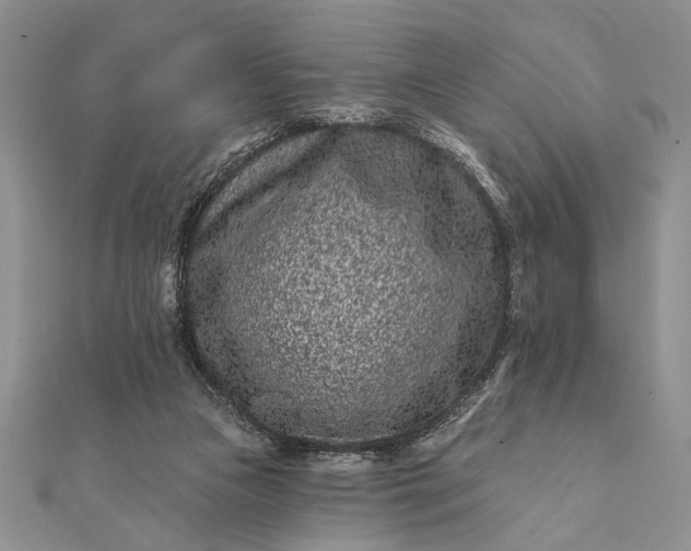 X0000112060161200908181206