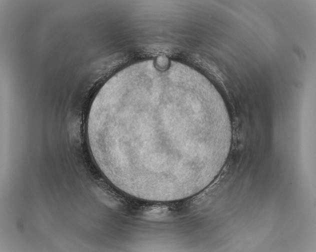 X0000112060162200908181206