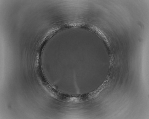 X0000112060163200908181206