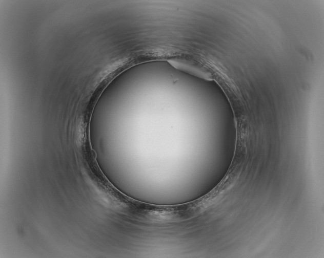 X0000112060164200908181206