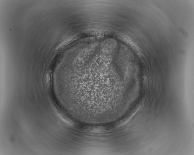 X0000112060165200908181206