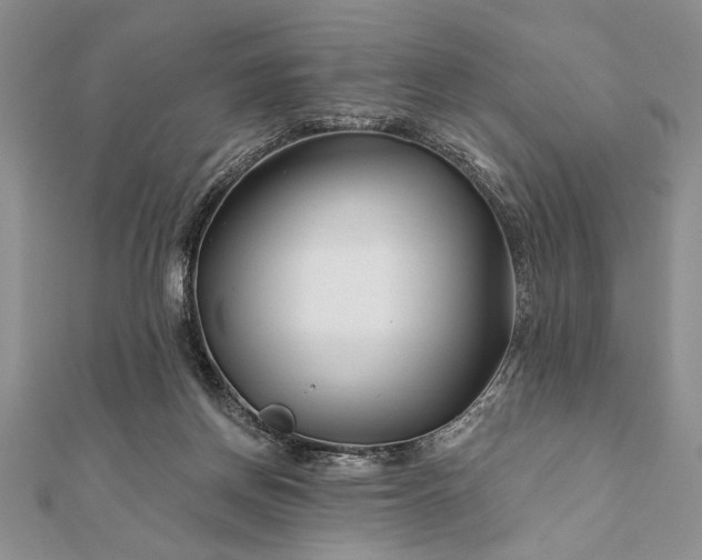 X0000112060166200908181206