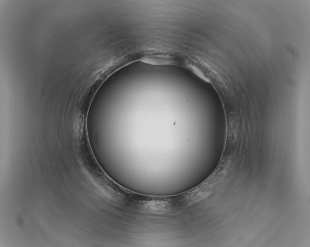 X0000112060168200908181206