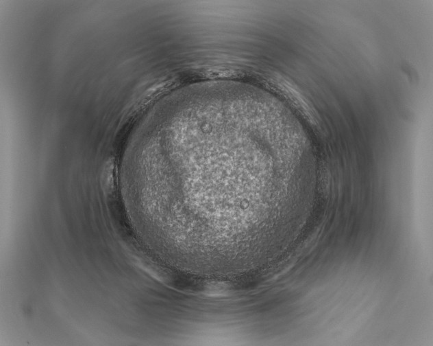 X0000112060169200908181206