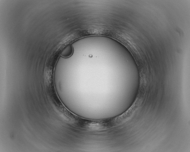 X0000112060171200908181206