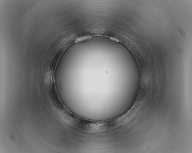 X0000112060172200908181206