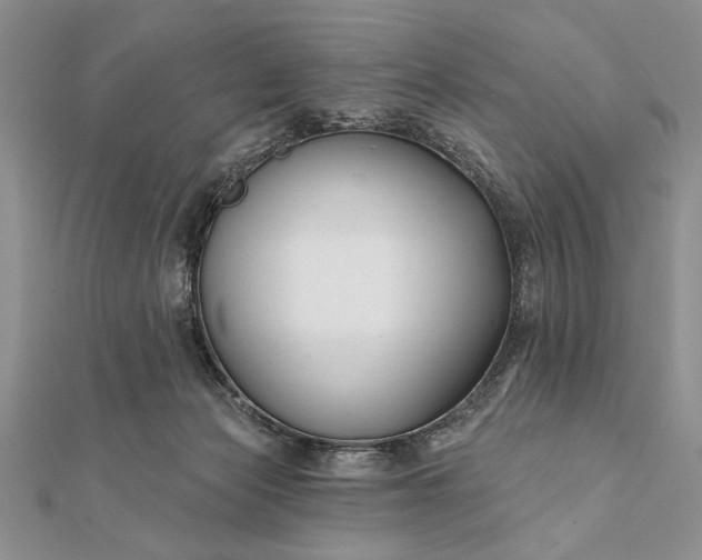 X0000112060173200908181206