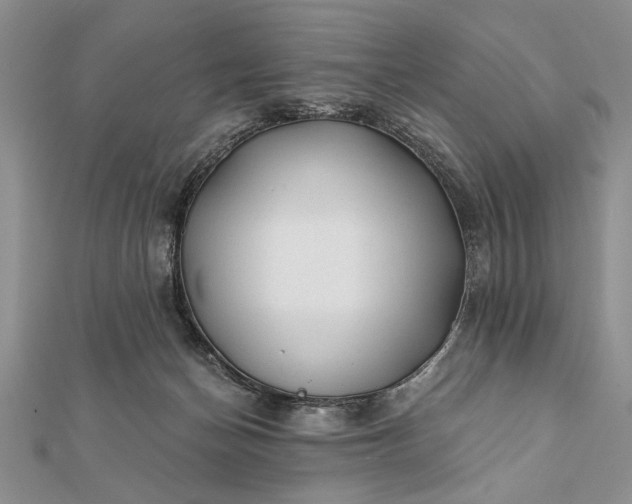 X0000112060174200908181206