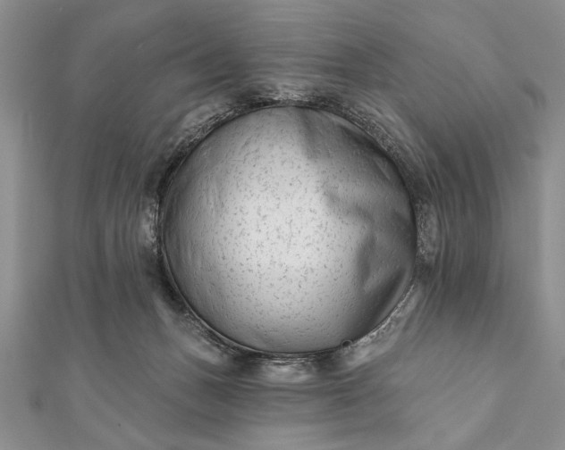 X0000112060175200908181206