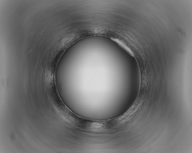 X0000112060176200908181206