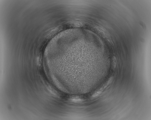 X0000112060177200908181206