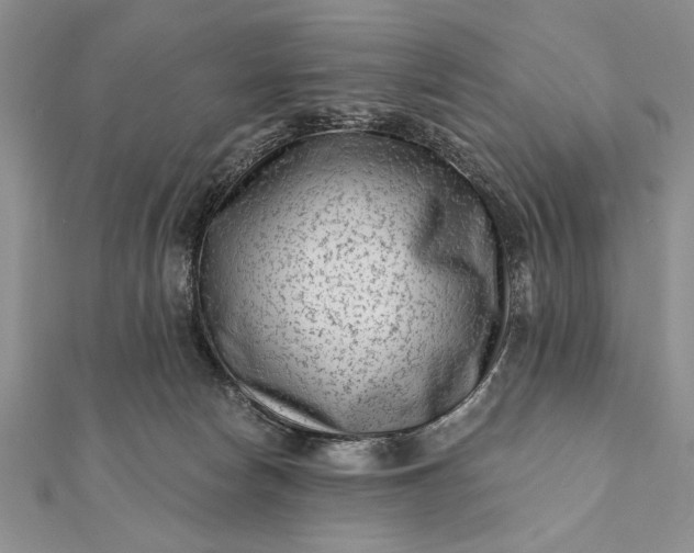 X0000112060178200908181206