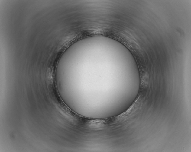 X0000112060179200908181206