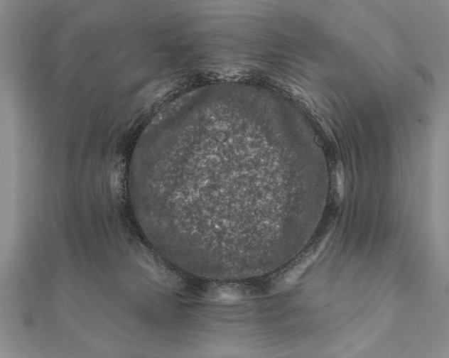 X0000112060181200908181206