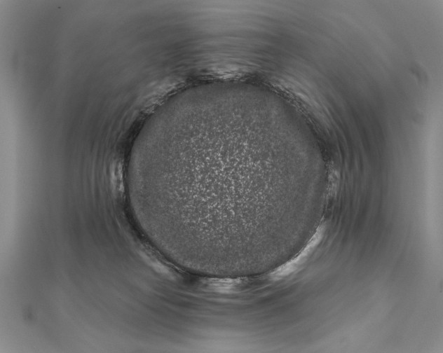 X0000112060182200908181206