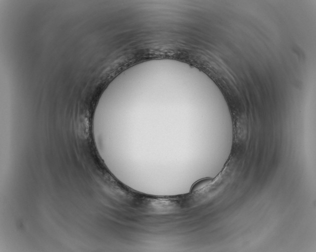 X0000112060183200908181206