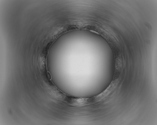 X0000112060184200908181206