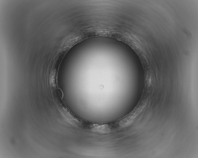 X0000112060185200908181206