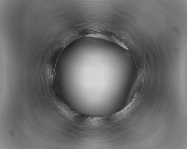 X0000112060186200908181206