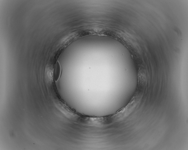 X0000112060188200908181206