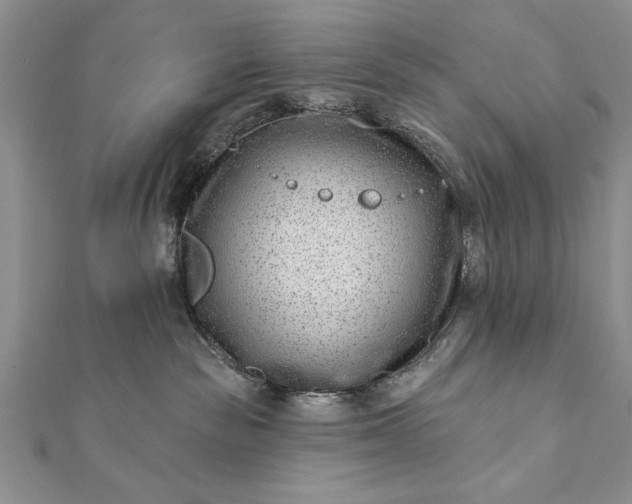 X0000112060189200908181206