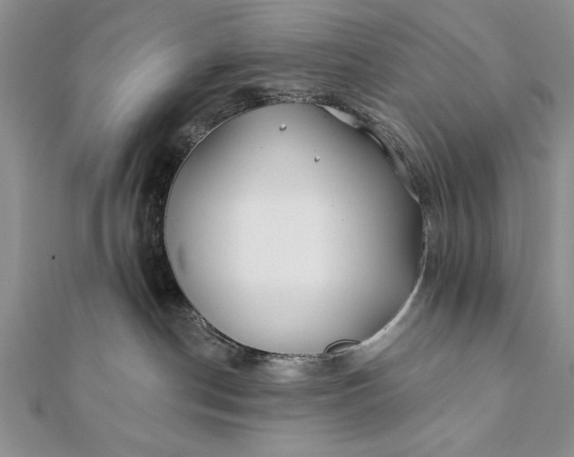 X0000112060190200908181206