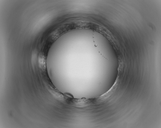 X0000112060191200908181206