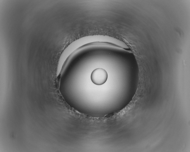 X0000112060192200908181206