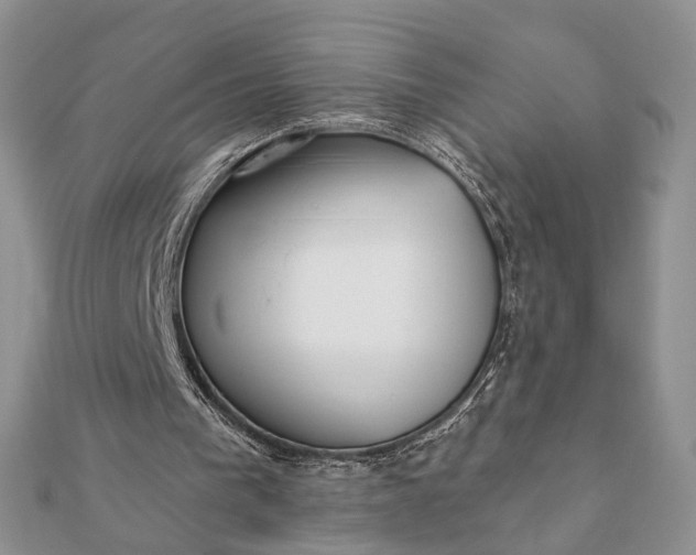 X0000112060193200908181205