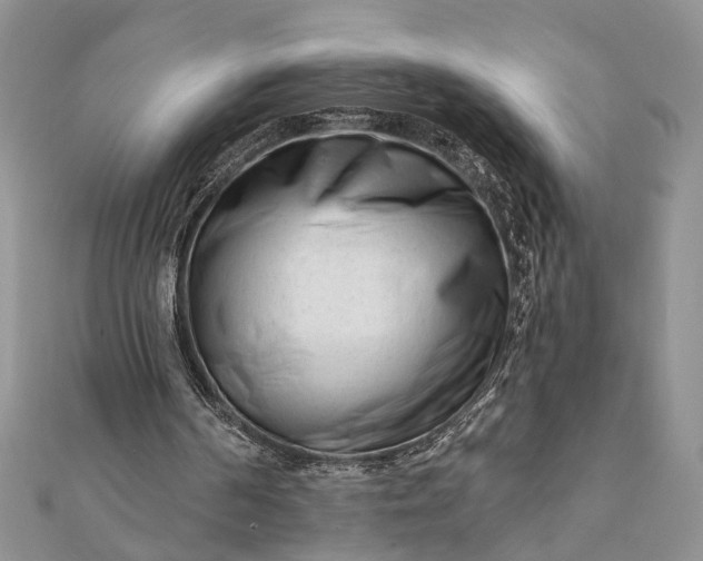 X0000112060194200908181205